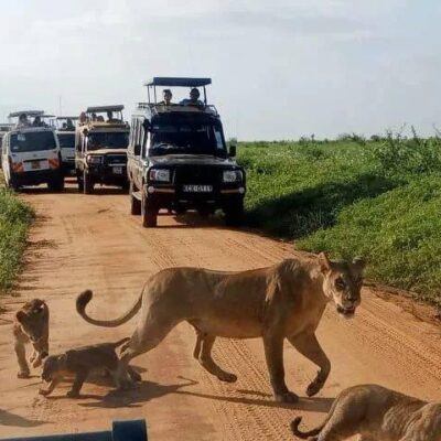 Smile View Kenya Tours and Travel