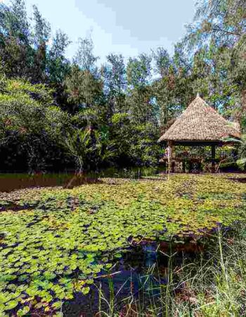 Bamburi Haller Park Mombasa