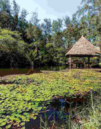 Bamburi Haller Park Mombasa