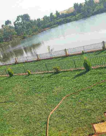 Luminas Gardens Juja