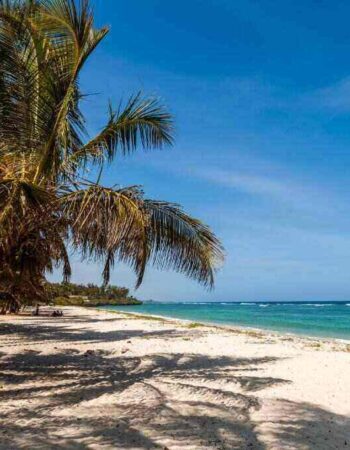 Tiwani Cottages Tiwi