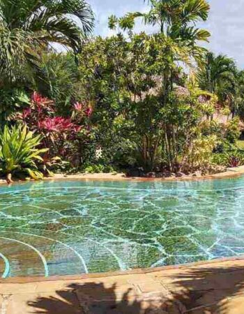 Tiwani Cottages Tiwi