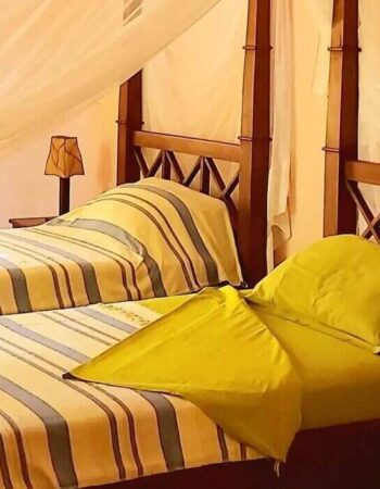 Tiwani Cottages Tiwi