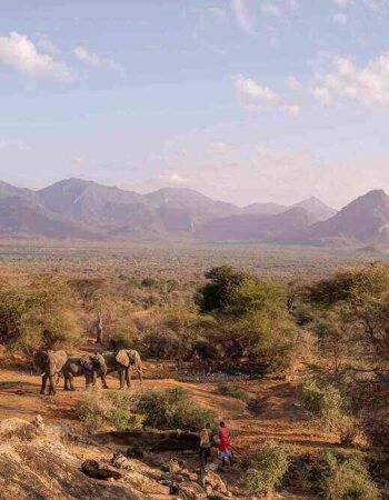 Sarara Camp Ecolodges Samburu Kenya