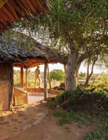 Laikipia Wilderness Camp Nanyuki
